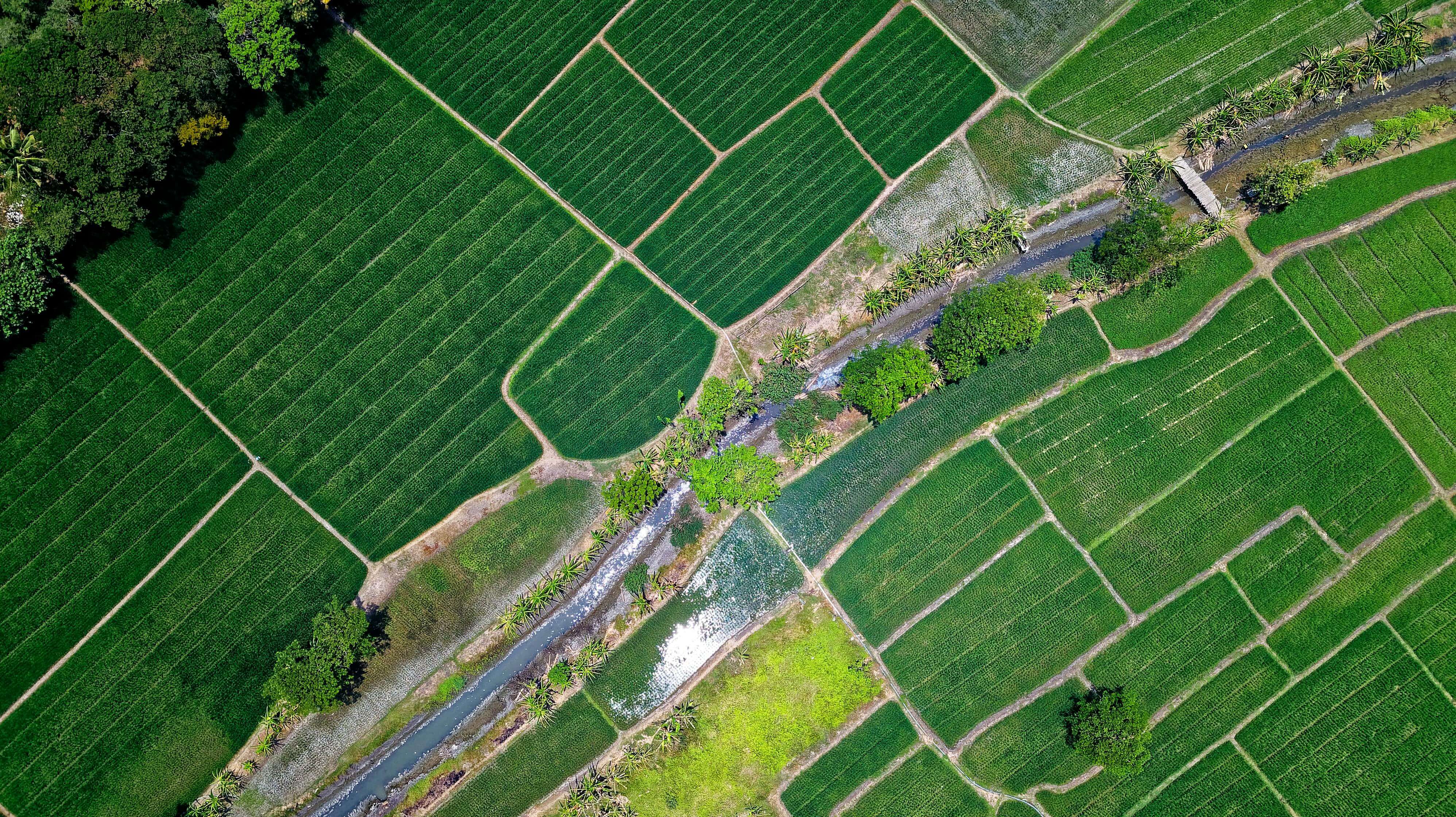 Agriculture Property